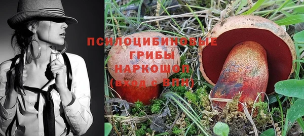 хмурый Мегион