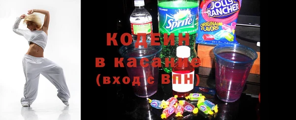 хмурый Мегион