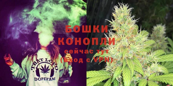 хмурый Мегион