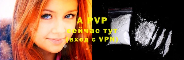 СК Медвежьегорск