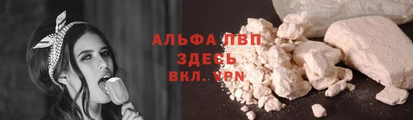 хмурый Мегион