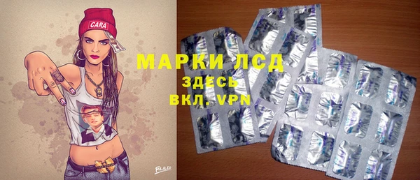хмурый Мегион