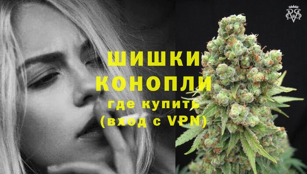 СК Медвежьегорск
