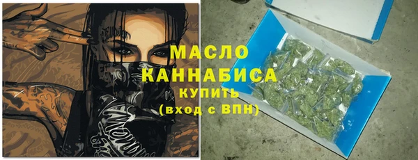 хмурый Мегион
