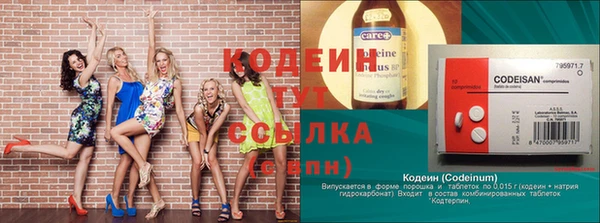 хмурый Мегион