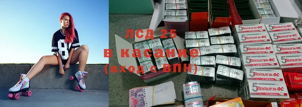 СК Медвежьегорск