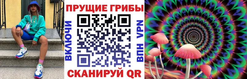 Псилоцибиновые грибы Magic Shrooms Владикавказ