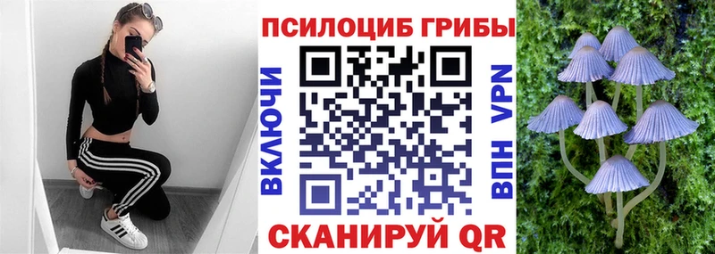 Псилоцибиновые грибы Cubensis Владикавказ